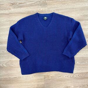 Roots Deep Blue V‑Neck Chunky Knit Sweater